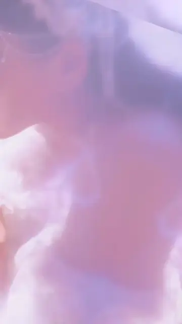 阳光明朗，万物可爱。