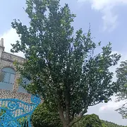 佳悦👑坚持住