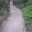 550684
