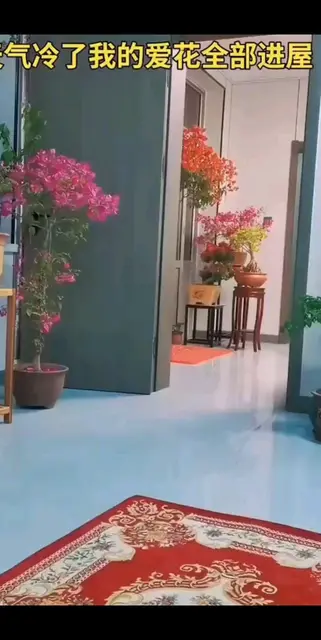 心静才能持久，轻囊方