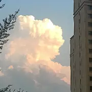 笑笑☞少说话