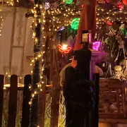 爱吃夜宵了吧