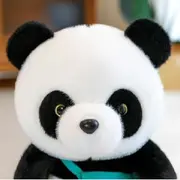 一只可爱的熊大猫