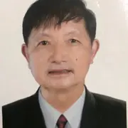 水上娱乐的北方象海豹