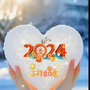 铁锅炖大鹅✨✨
