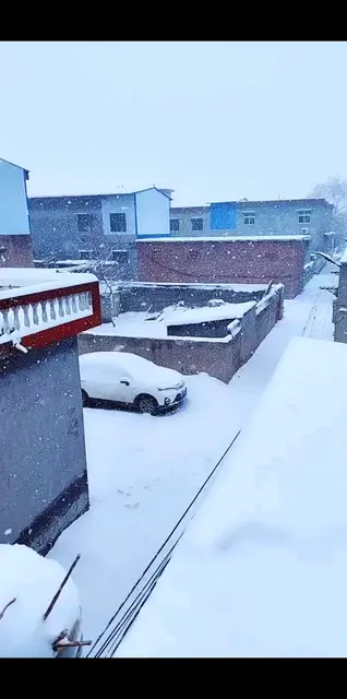 立春的雪