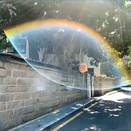 北家小黄黄🌈的图片