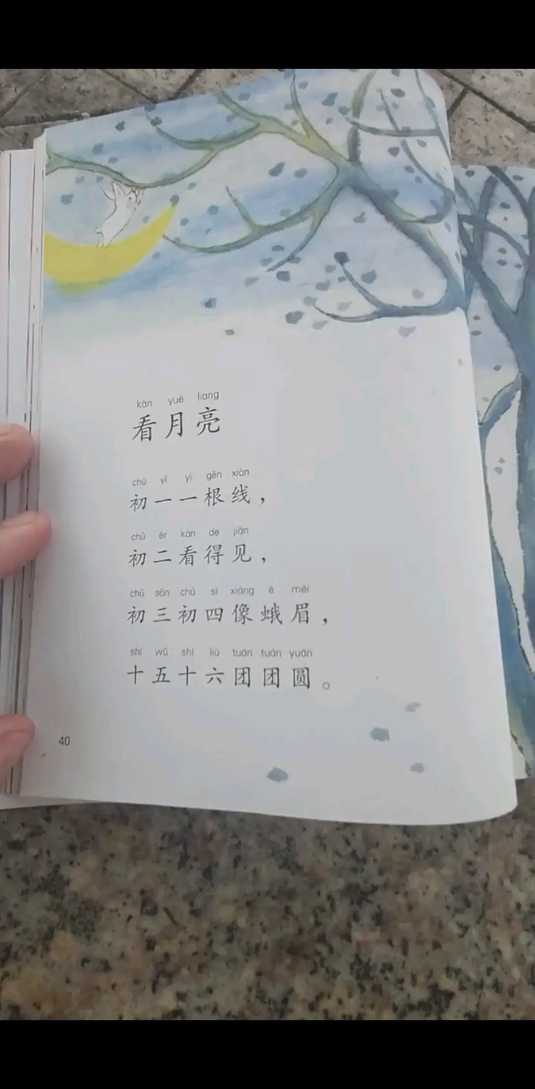 看月亮