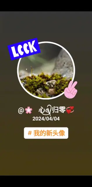 让🌸蕊归零