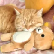 被自己帅晕