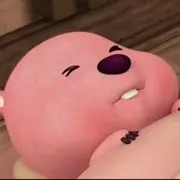 ovo小猪