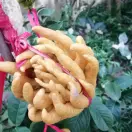 祝你好运9z