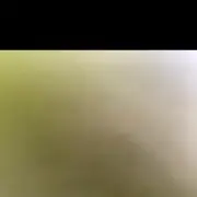 怡然、自若