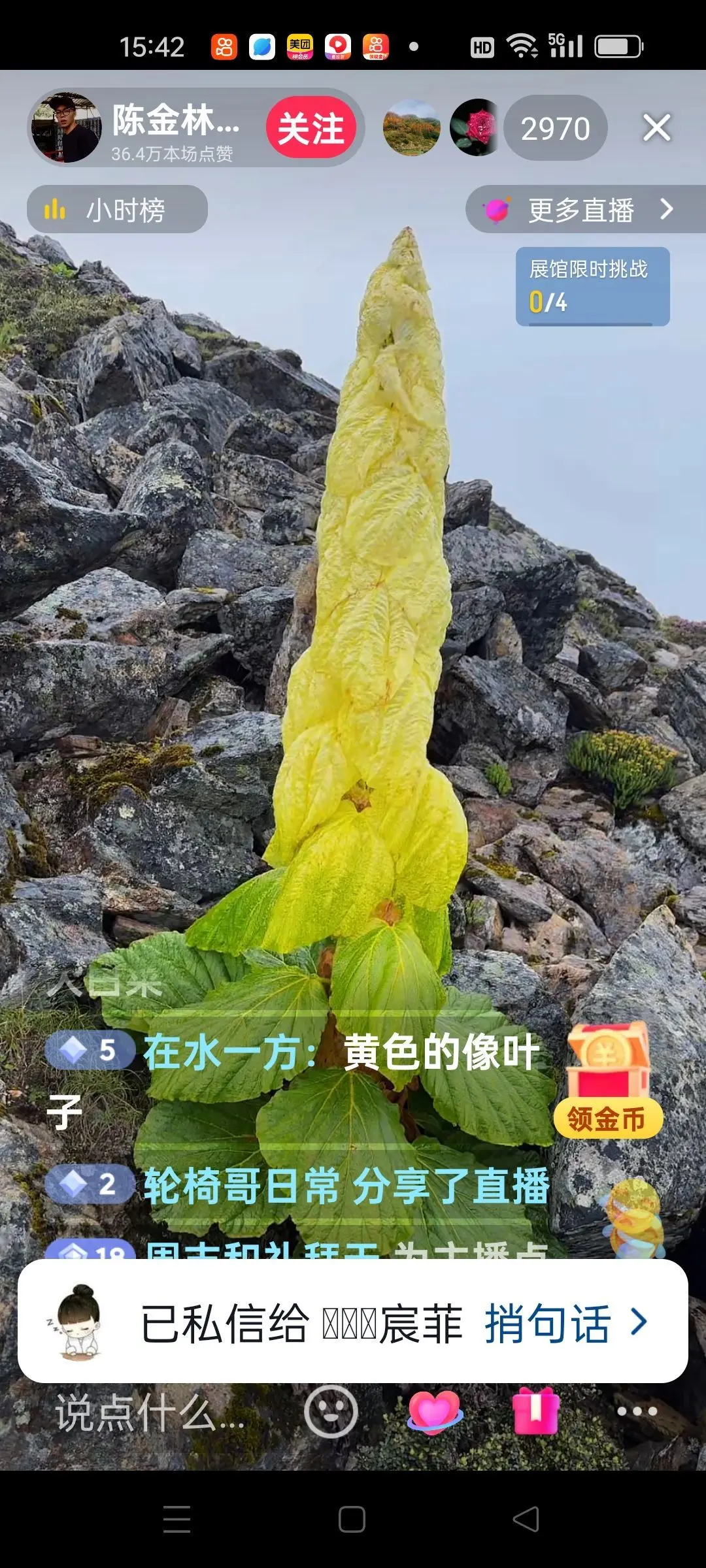 无聊听歌🍀马年好运主播图片