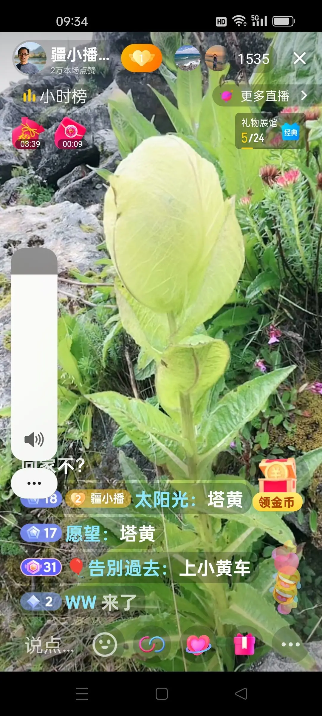 无聊听歌🍀马年好运主播图片