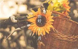 小姨太求陪伴的图片