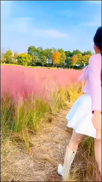 穿上喜欢的颜色 赴一