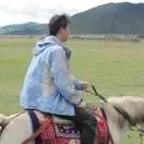 走江湖b