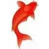 ∝〃魚●🐬師兄∝〃海报