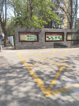 别致选择的图片