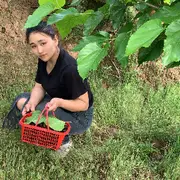 糖🍬🍬果儿
