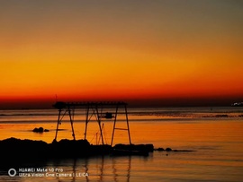 肉肉小娘子有事休息的图片
