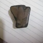 韦德.宦