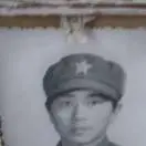 吴文林m
