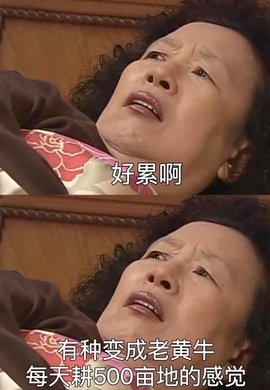 一鹿ღ鹿鹿鹿鹿吖～～的图片