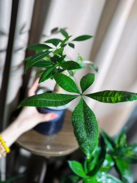 毛28🌈的图片