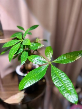 毛28🌈的图片