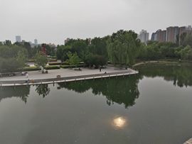 别致选择的图片