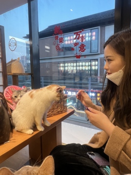 青柠不酸吖的图片