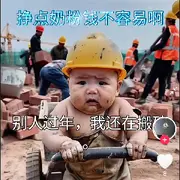 风情→不羁