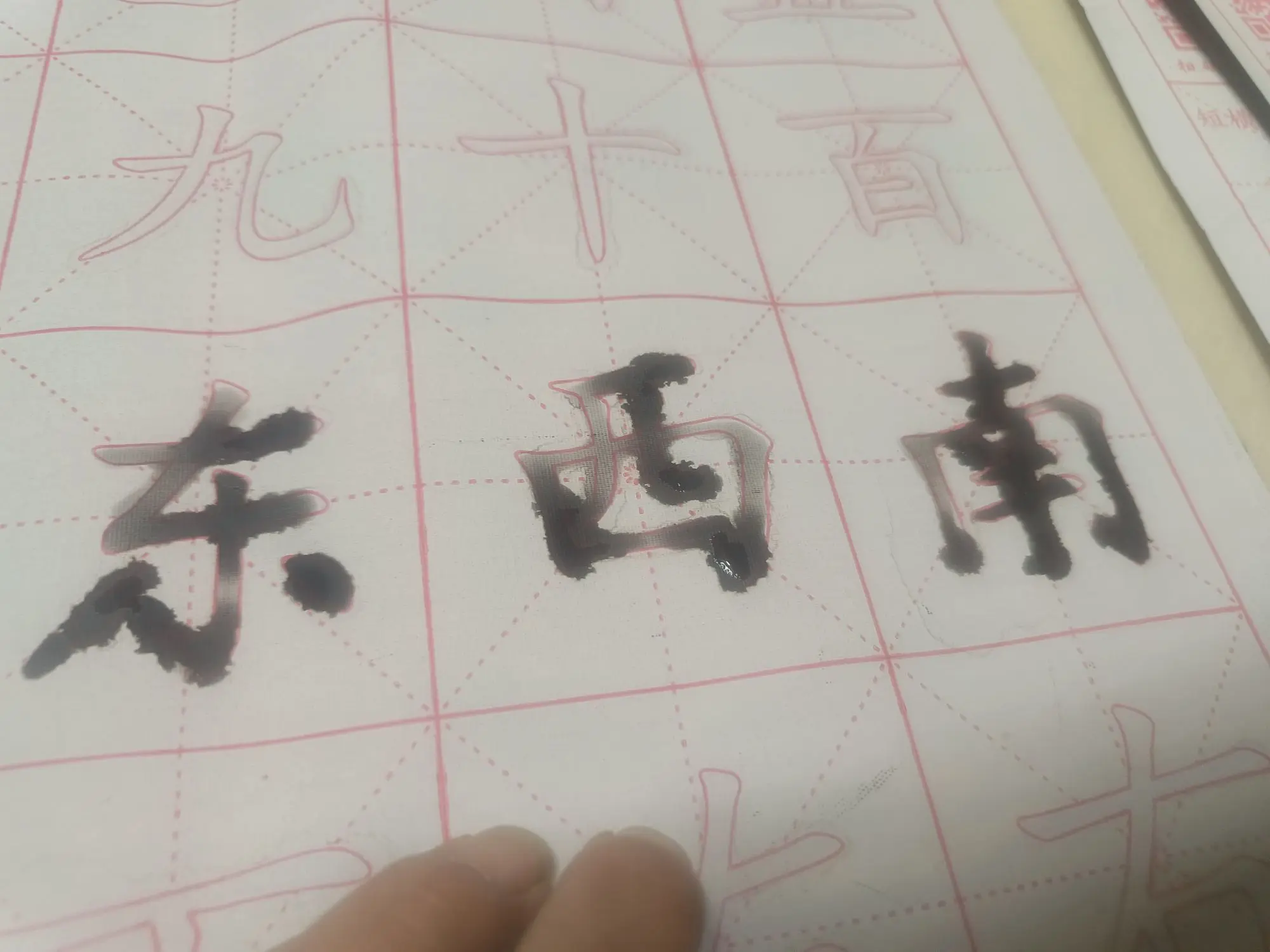 ゛✿洛洛✿的主播照片