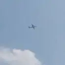 周武郑