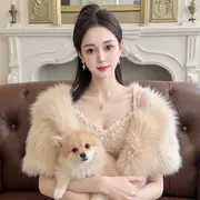 萌新宝Vve的用户头像
