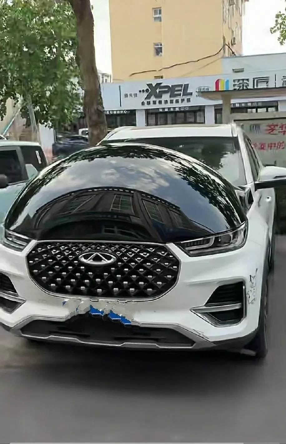 西红市番茄县洋柿子村主播图片