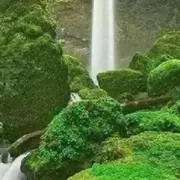 东吴小弟