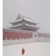 带劲哥