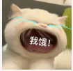 🎶柒歌🎤的图片