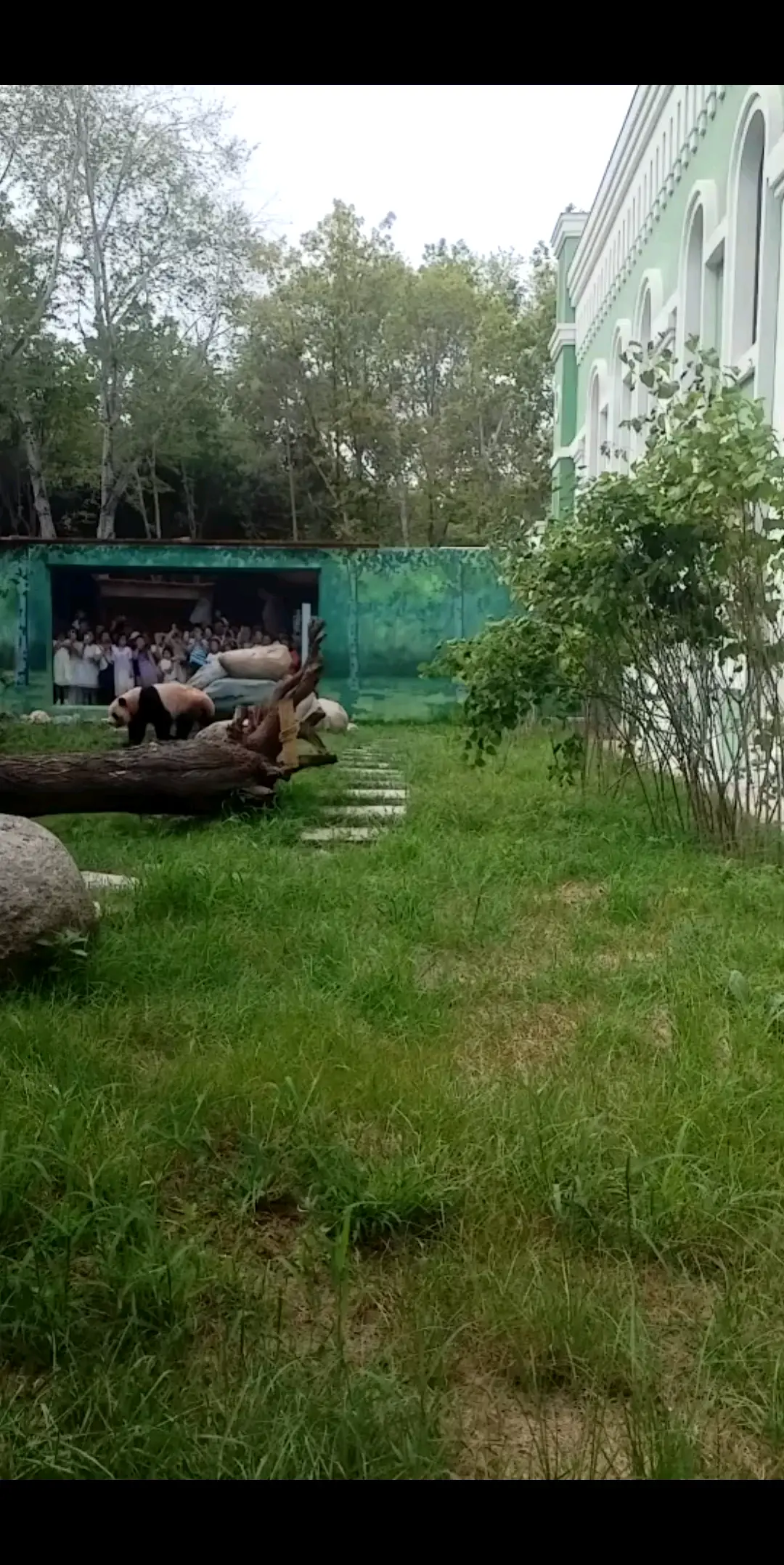 太阳岛之行