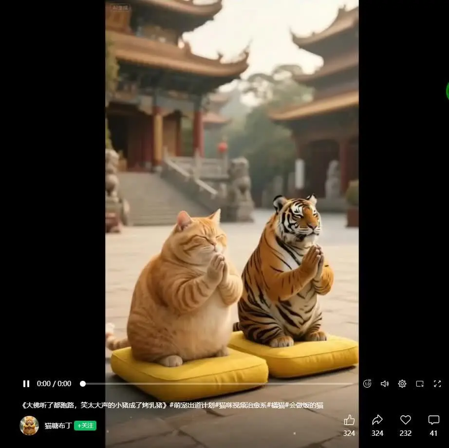 猫哥(如此学问)