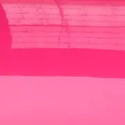 林泽♥