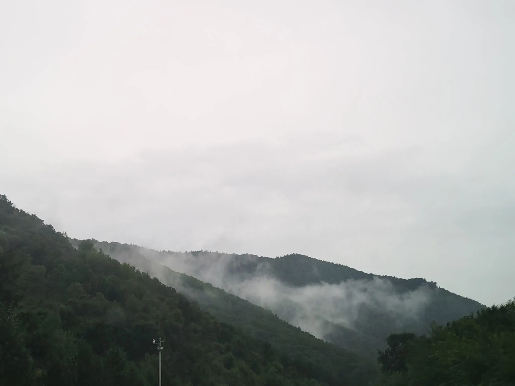 雪er，唱歌主播图片
