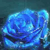 淡~~然g