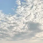 哈哈…宝宝