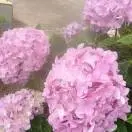 陈广兵4
