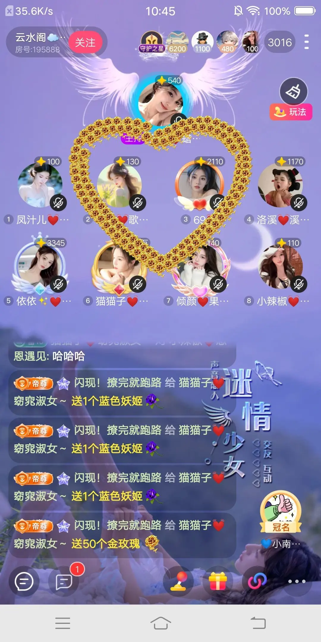 猫猫子💓窈窕淑女～主播图片