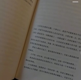 洋子～的图片